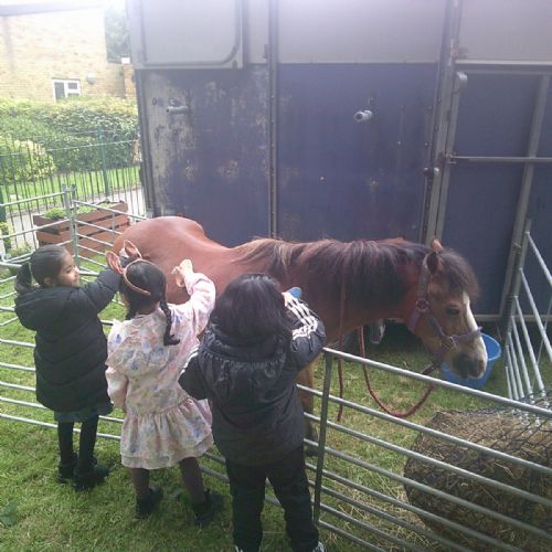 Farm Day 2026